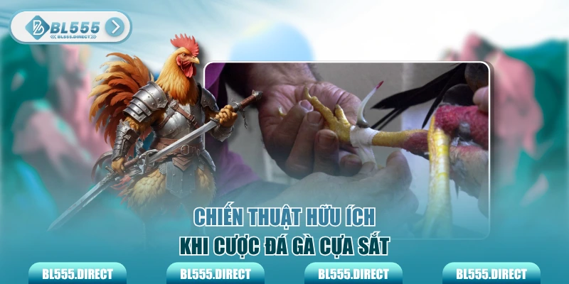 Chiến thuật hữu ích khi cược đá gà cựa sắt
