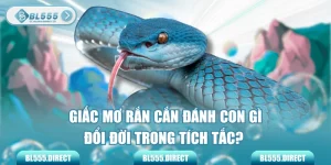 Giấc Mơ Rắn Cắn Đánh Con Gì Đổi Đời Trong Tích Tắc?