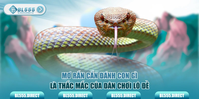 Mơ rắn cắn đánh con gì là thắc mắc của dân chơi lô đề