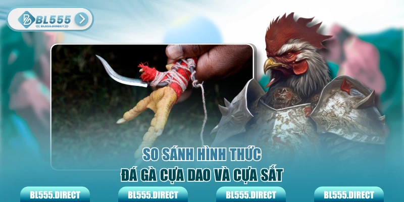 So sánh hình thức đá gà cựa dao và cựa sắt