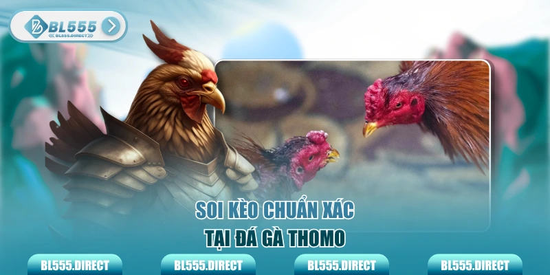 Soi kèo chuẩn xác tại đá gà Thomo